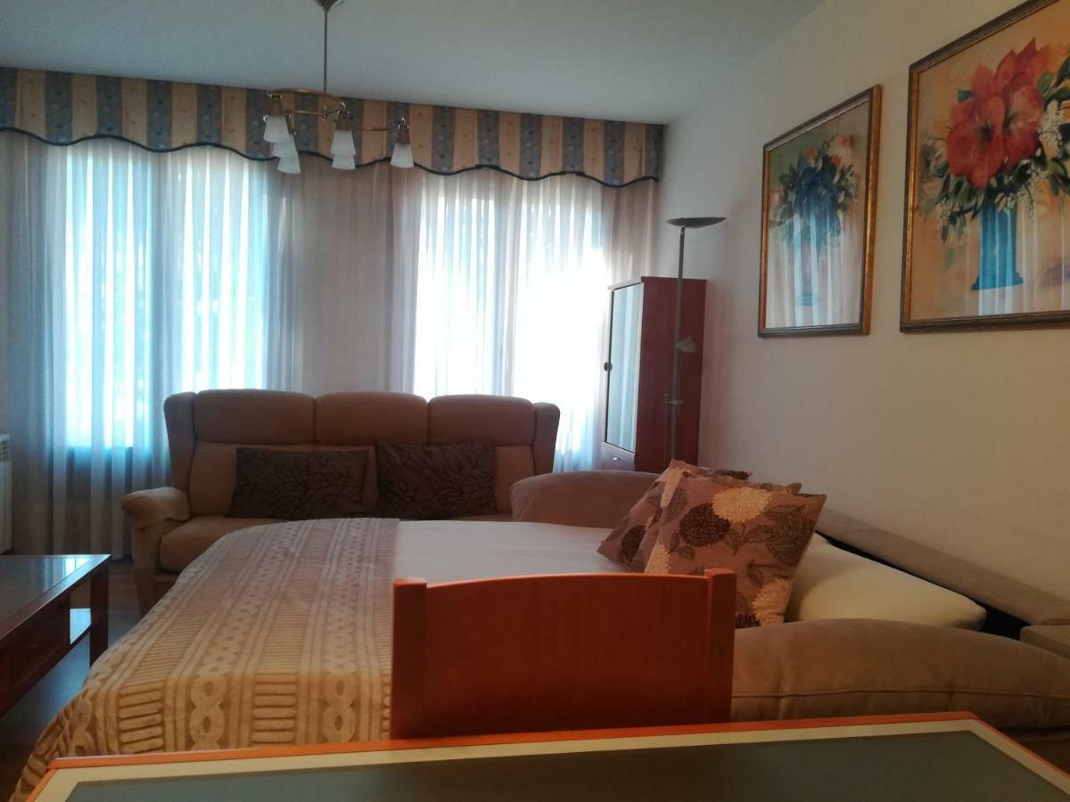 Apartamento Paseo Del Saúco Ezcaray Exterior foto